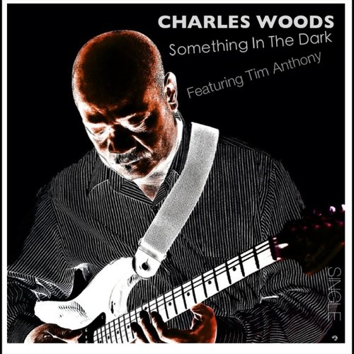 Something in the Dark (feat. Tim Anthony)