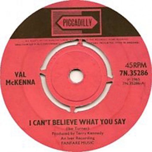 I Can't Believe What You Say / Don't Hesitate