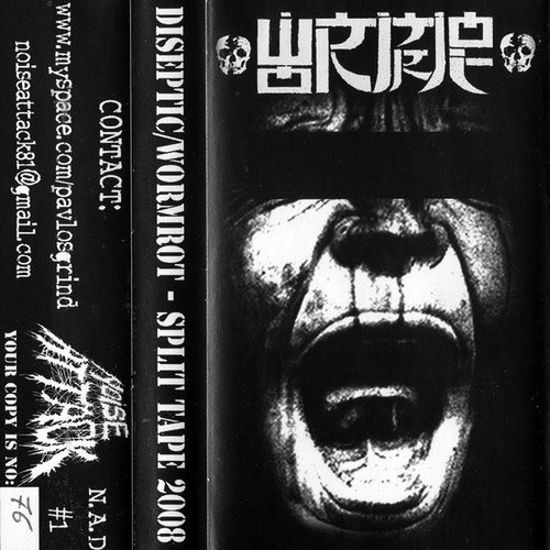 Split Tape 2008
