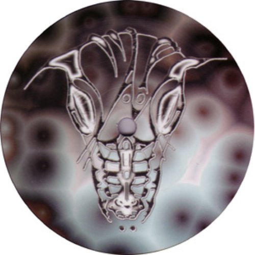 Dragonid