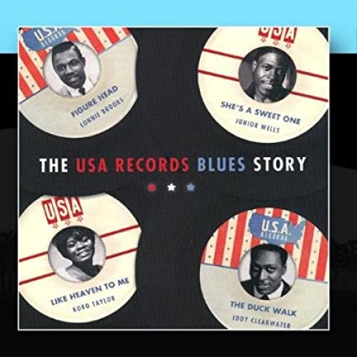 The USA Records Blues Story