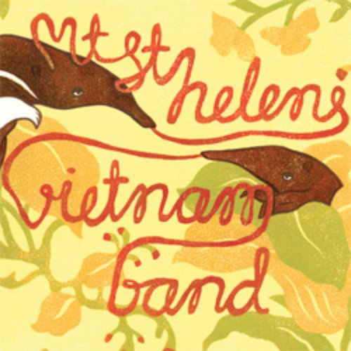 Mt. St. Helens Vietnam Band