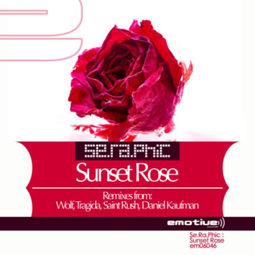 Sunset Rose
