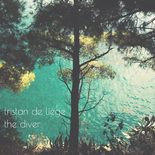 The Diver