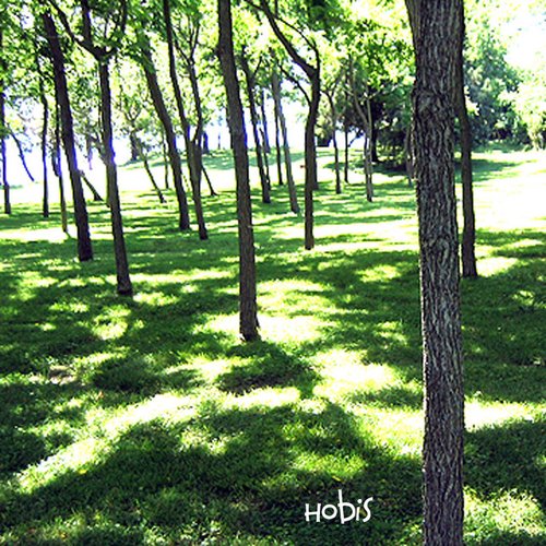 There And Back Again