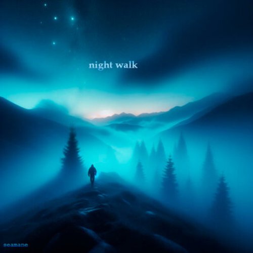 Night Walk