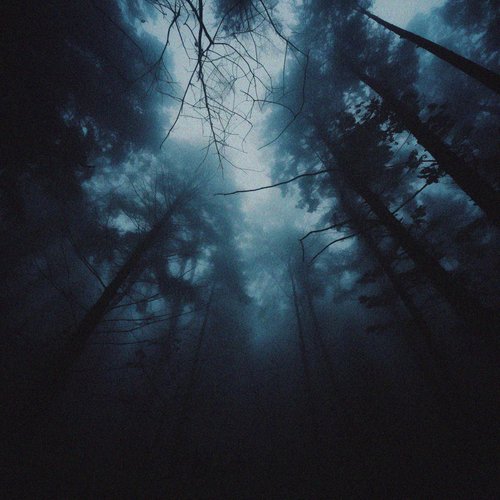 I'm So Scared - Single