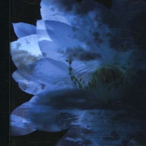 LUNA SEA MEMORIAL COVER ALBUM-Re:birth-