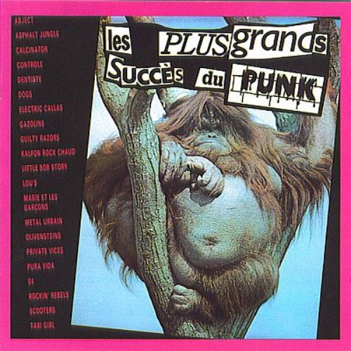 Les Plus Grands Succes du Punk