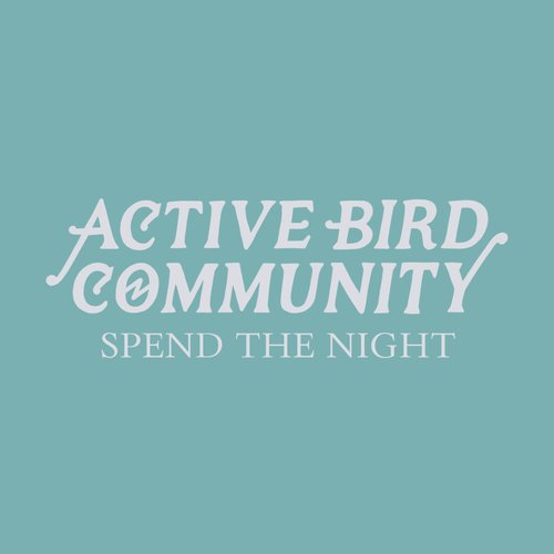 Spend the Night - Single