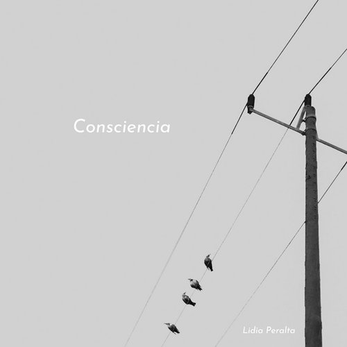 Consciencia