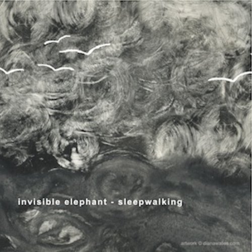 Sleepwalking