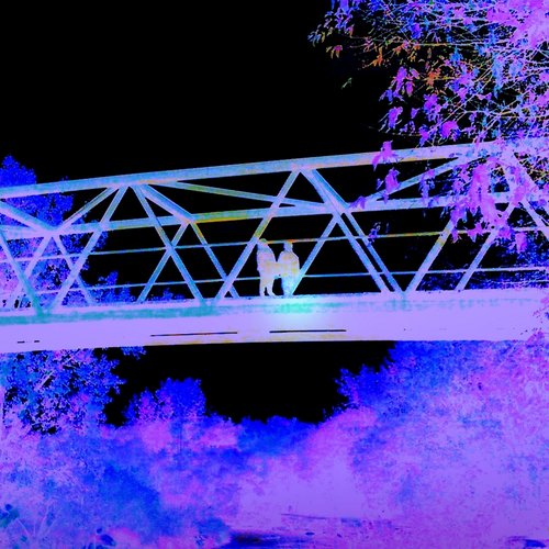 nocturnal moods