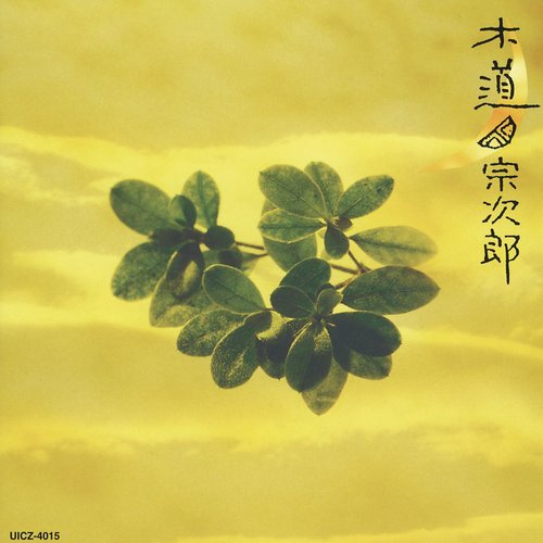 木道