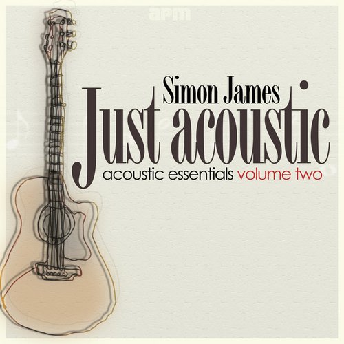 Just Acoustic - Acoustic Essentials Vol 2