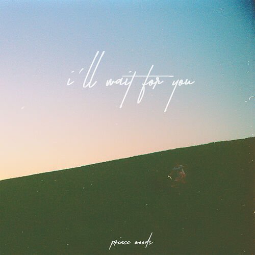 I'll Wait For You