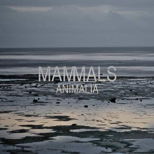 Animalia