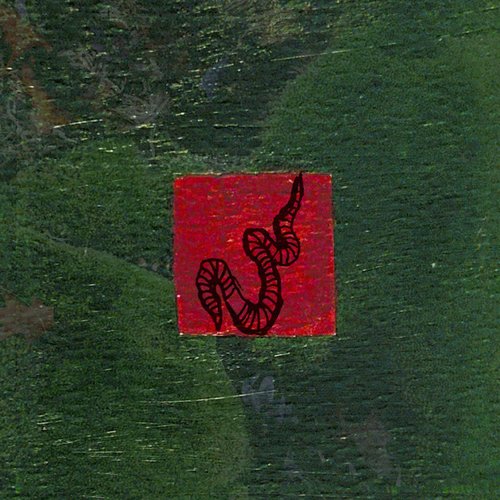 WORM