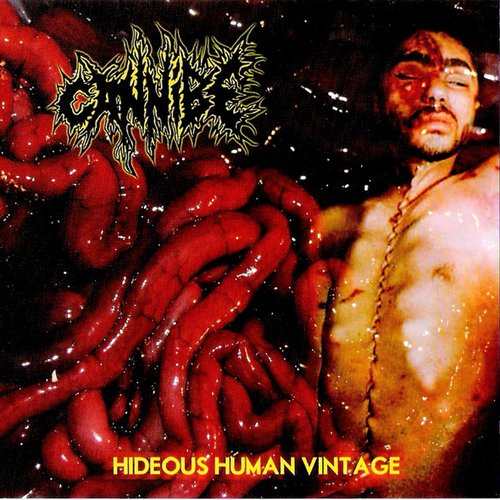 Hideous Human Vintage