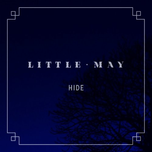 Hide
