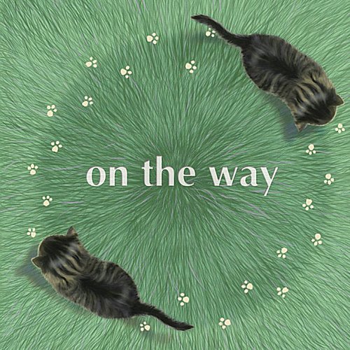 on the way