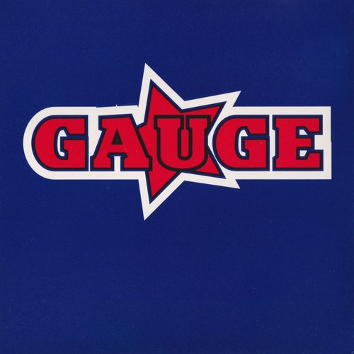 Gauge