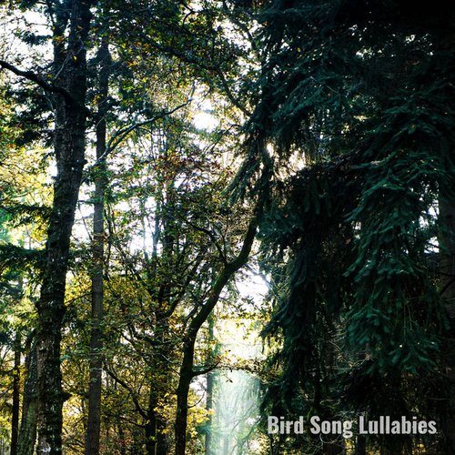 Singing Birds