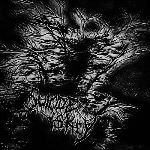 Absolution