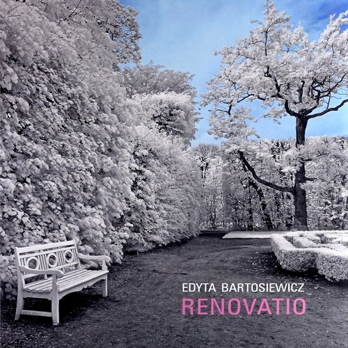 Renovatio