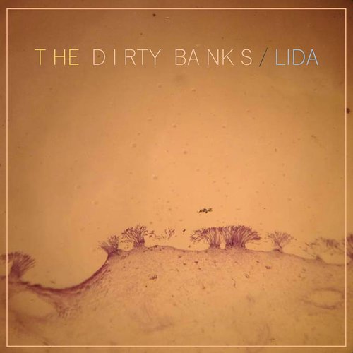 Lida