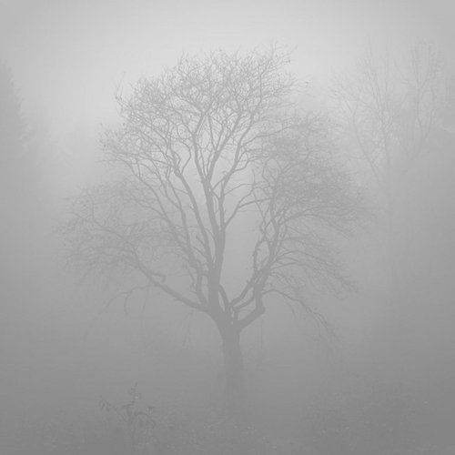 Fragile