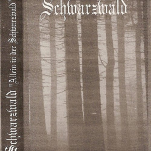 Allein in der Schwarzwald