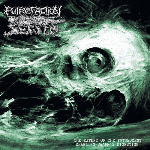 The Extent of the Putrescent Crawling Swarm's Digestion