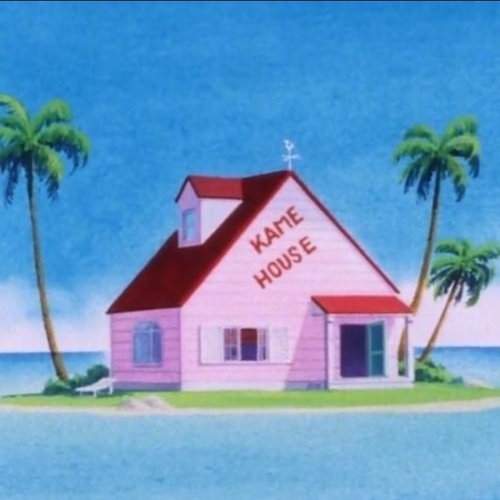 Palm Trees
