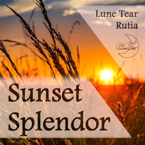 Sunset Splendor