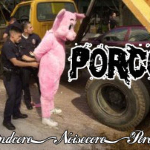 Porcore - Grindcore, Noisecore, Porcore â€” Porco | Last.fm