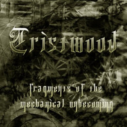 Fragments Of The Mechanical Unbecoming