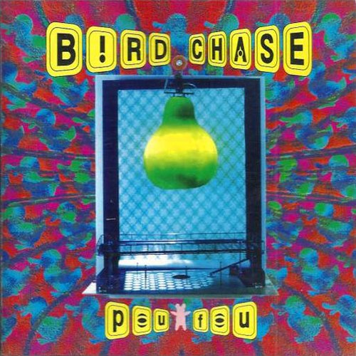 BIRD CHASE