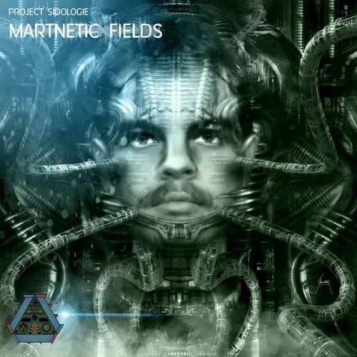 Project Sidologie: Martnetic Fields