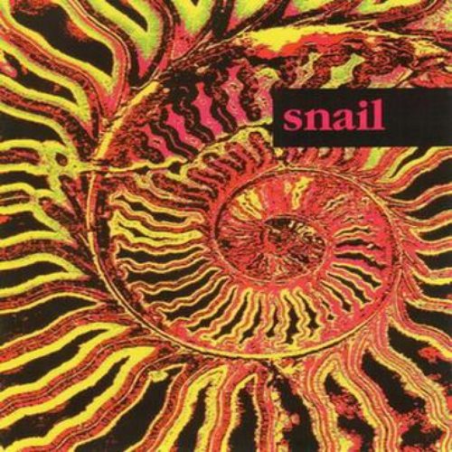 Snail