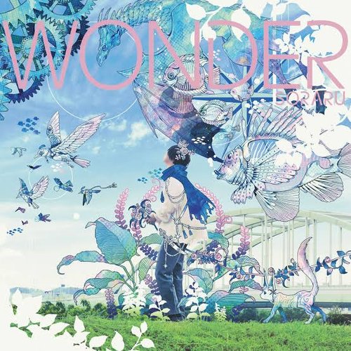 Wonder