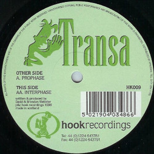 Prophase / Interphase