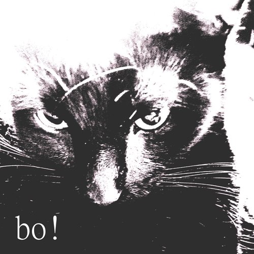 From the Start - Single