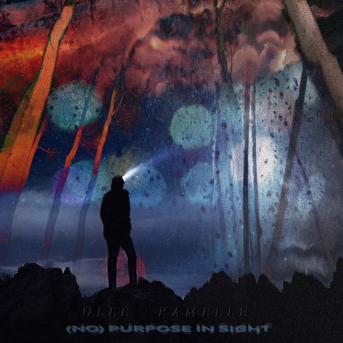 (No) Purpose In Sight