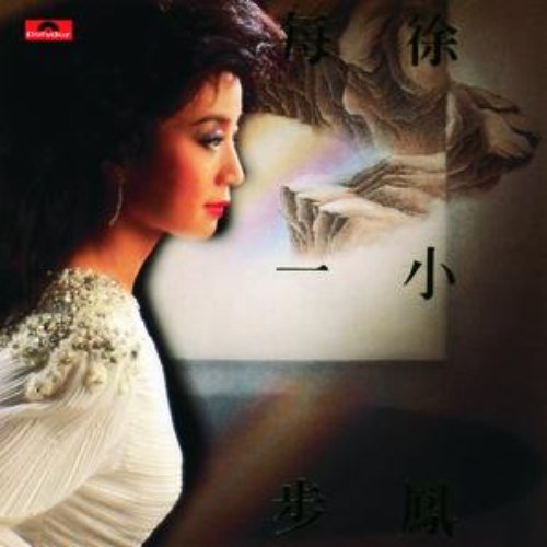 Mei Yi Bu