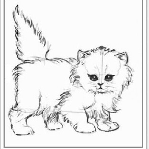 miaow