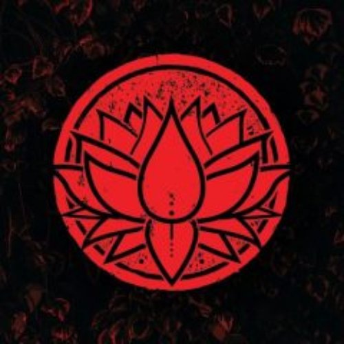 Illuminate