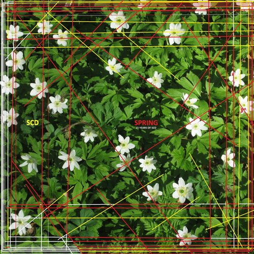 Spring (15 Years of Scd)
