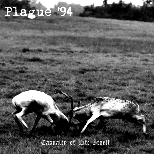 Casualty of Life Itself [Explicit]