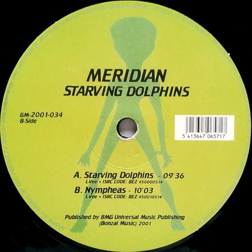 Starving Dolphins